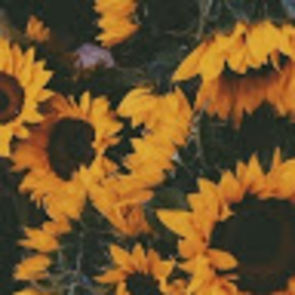 Meet your Posher, Avril - Picture 1 of 1